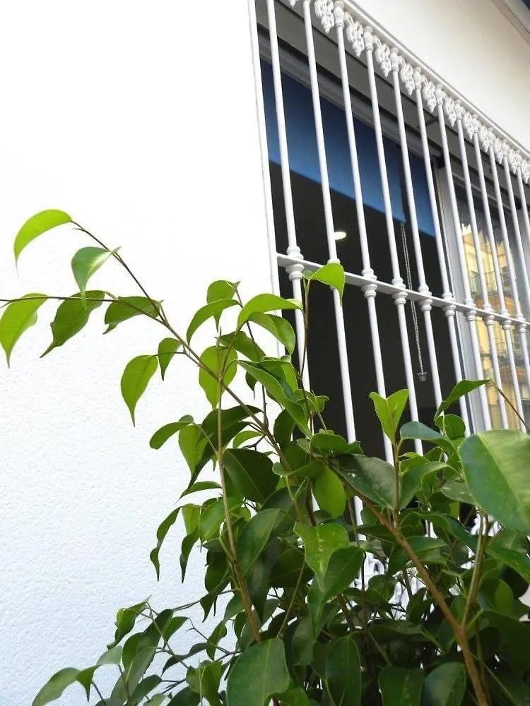 Apartamentos Carolina 2 Torremolinos